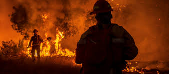 Καλιφόρνια: Καύσωνας και πυρκαγιές – Κατάσταση έκτακτης ανάγκης