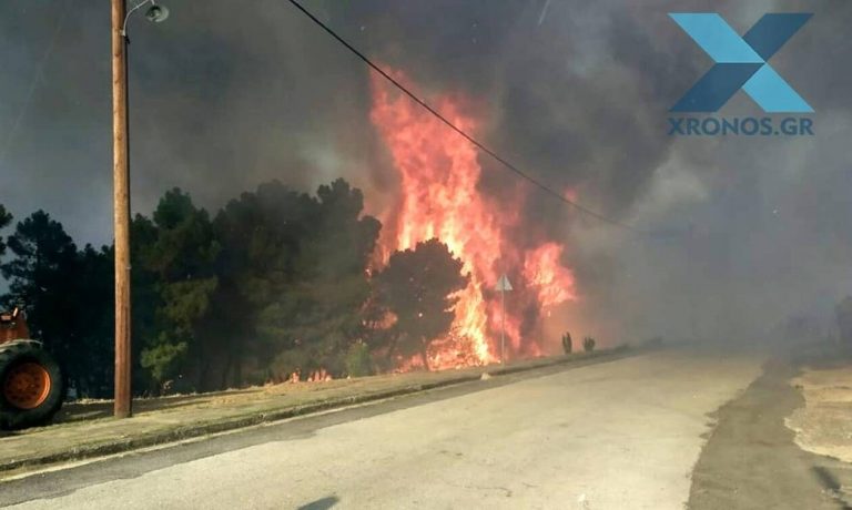 Αττική: Φωτιά στη Νίκαια – Δεν απειλούνται σπίτια